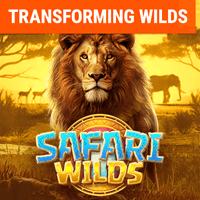 Safari Hoang Dã game thumbnail